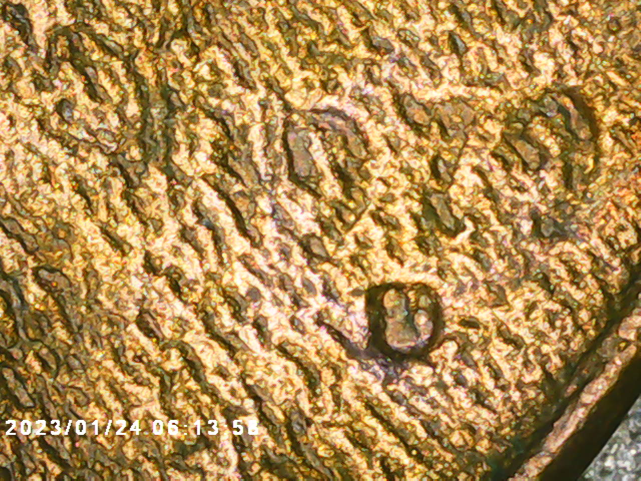 1979-D-Lincoln,-Sand-Blasted?